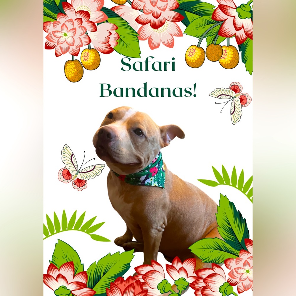 Safari Pet Dog Cat Bandana for Boy Girl Unisex Medium Large OSFM!